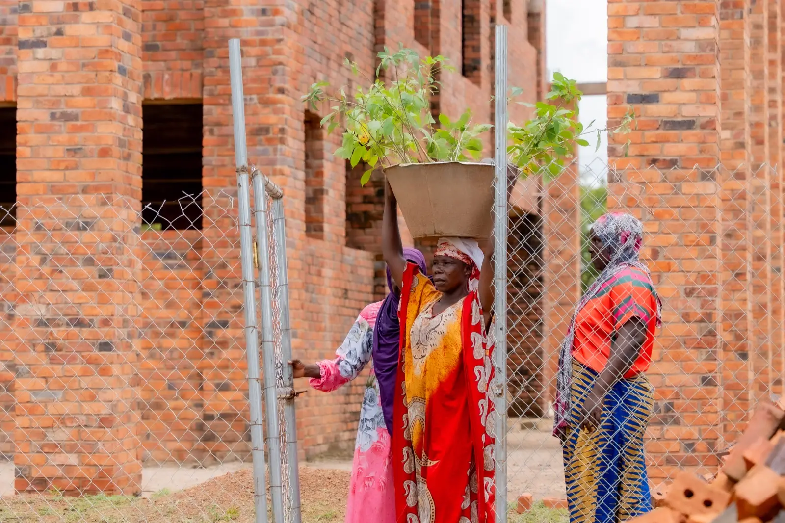 Women carrying seedlings beside a brick building