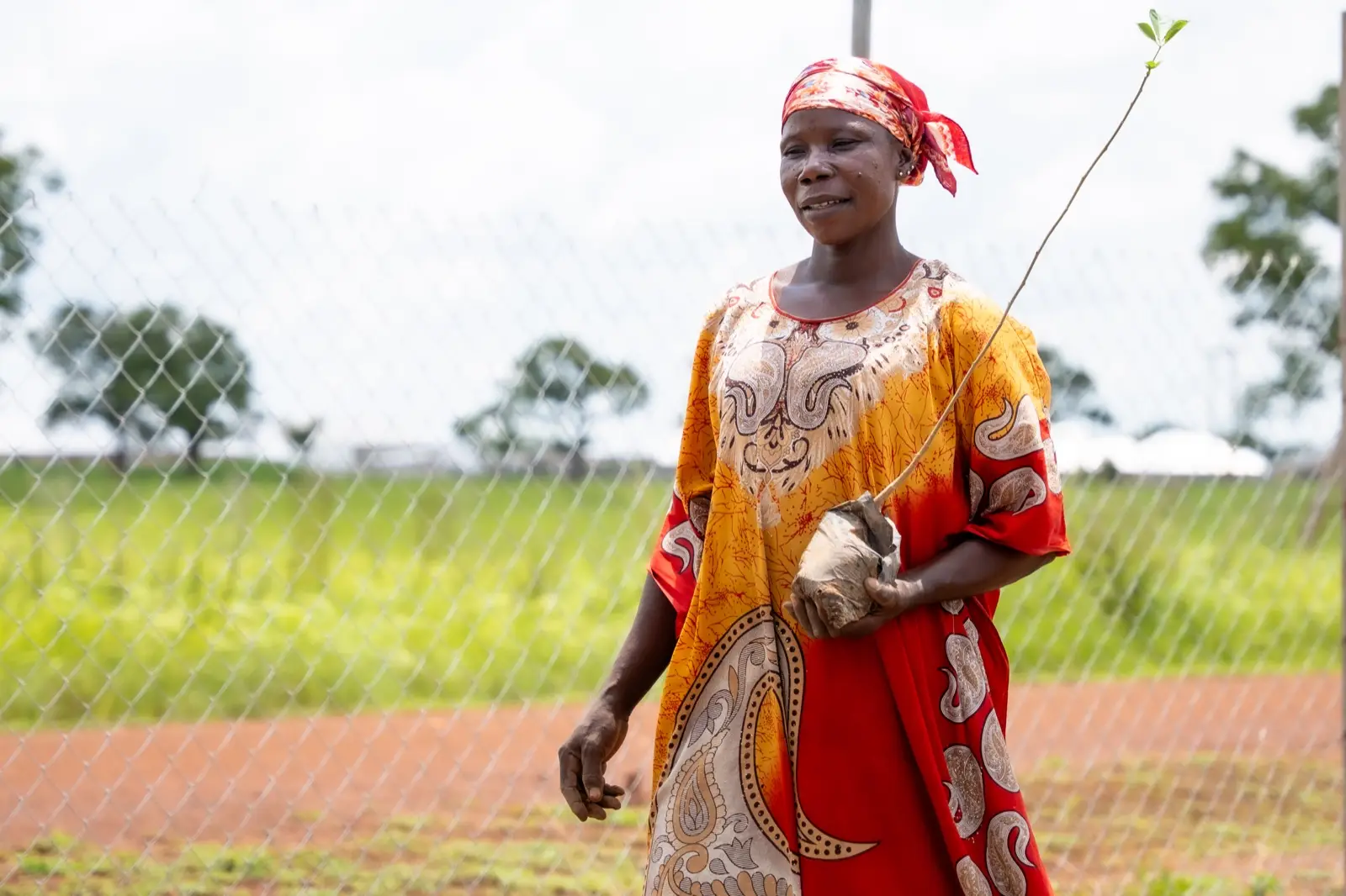 A woman holds a seedling in the field